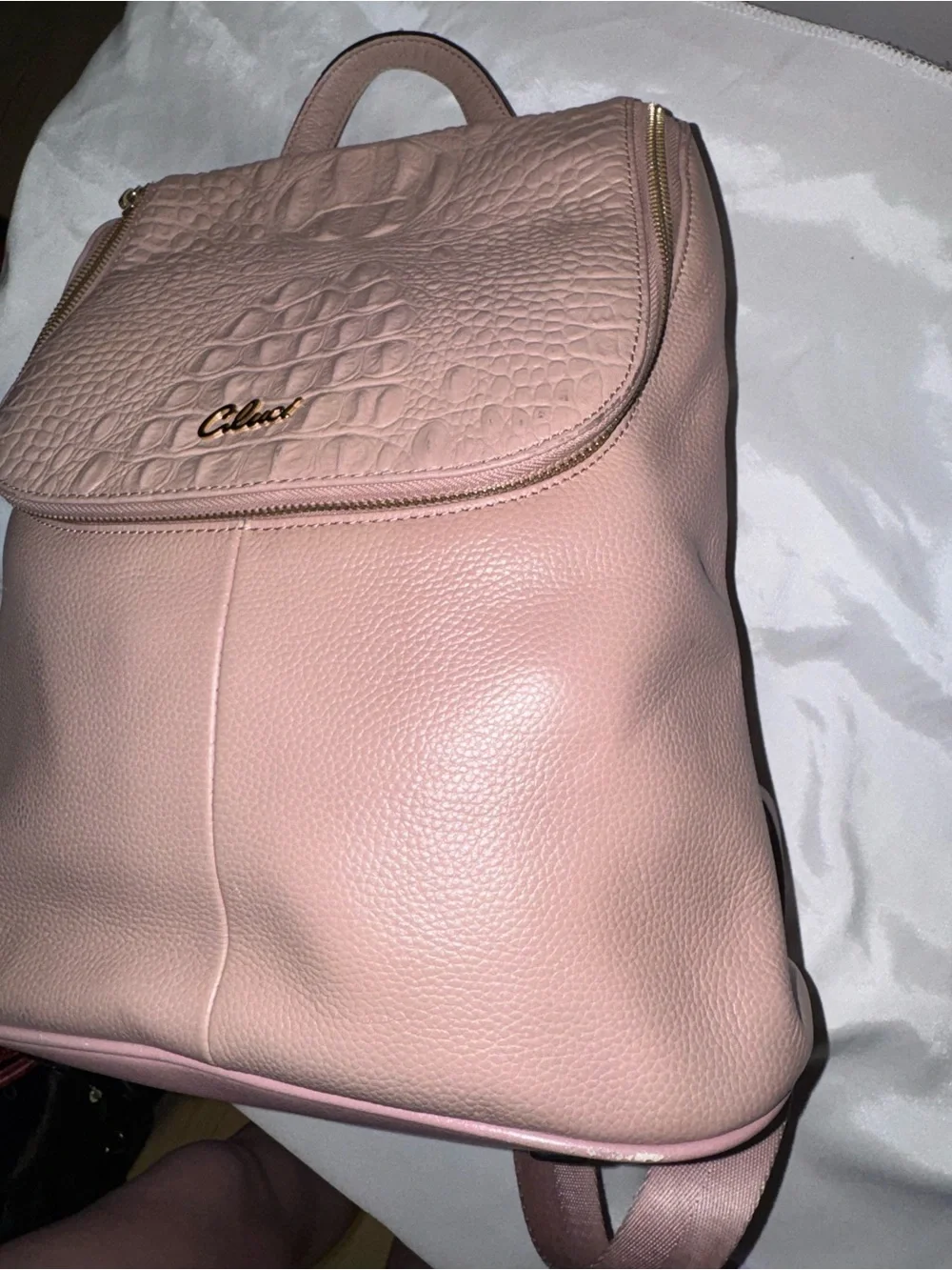Cluci Vintage Women's Blush Pink Textured Leather Backpack